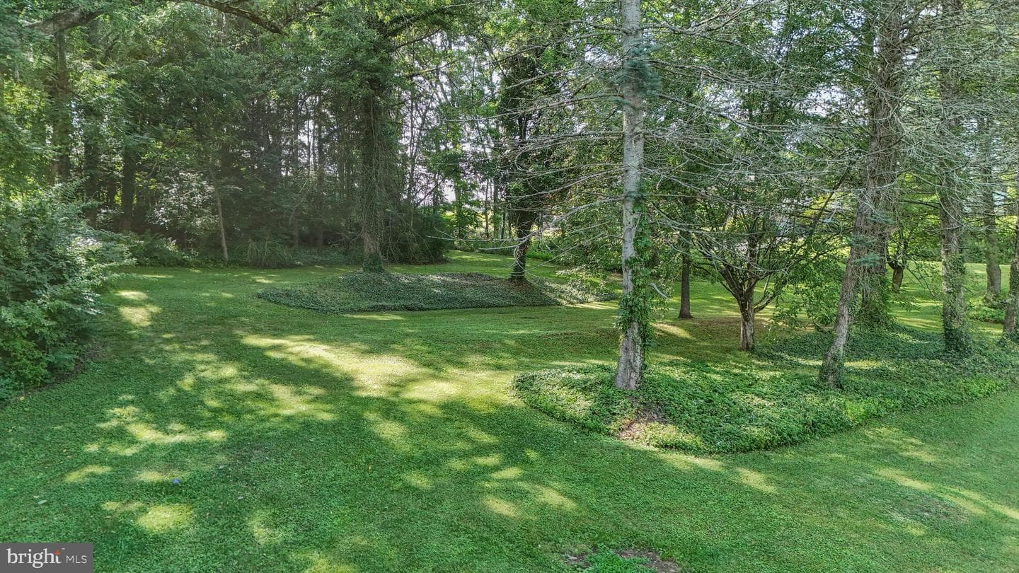 7 Ryan Avenue photo 49