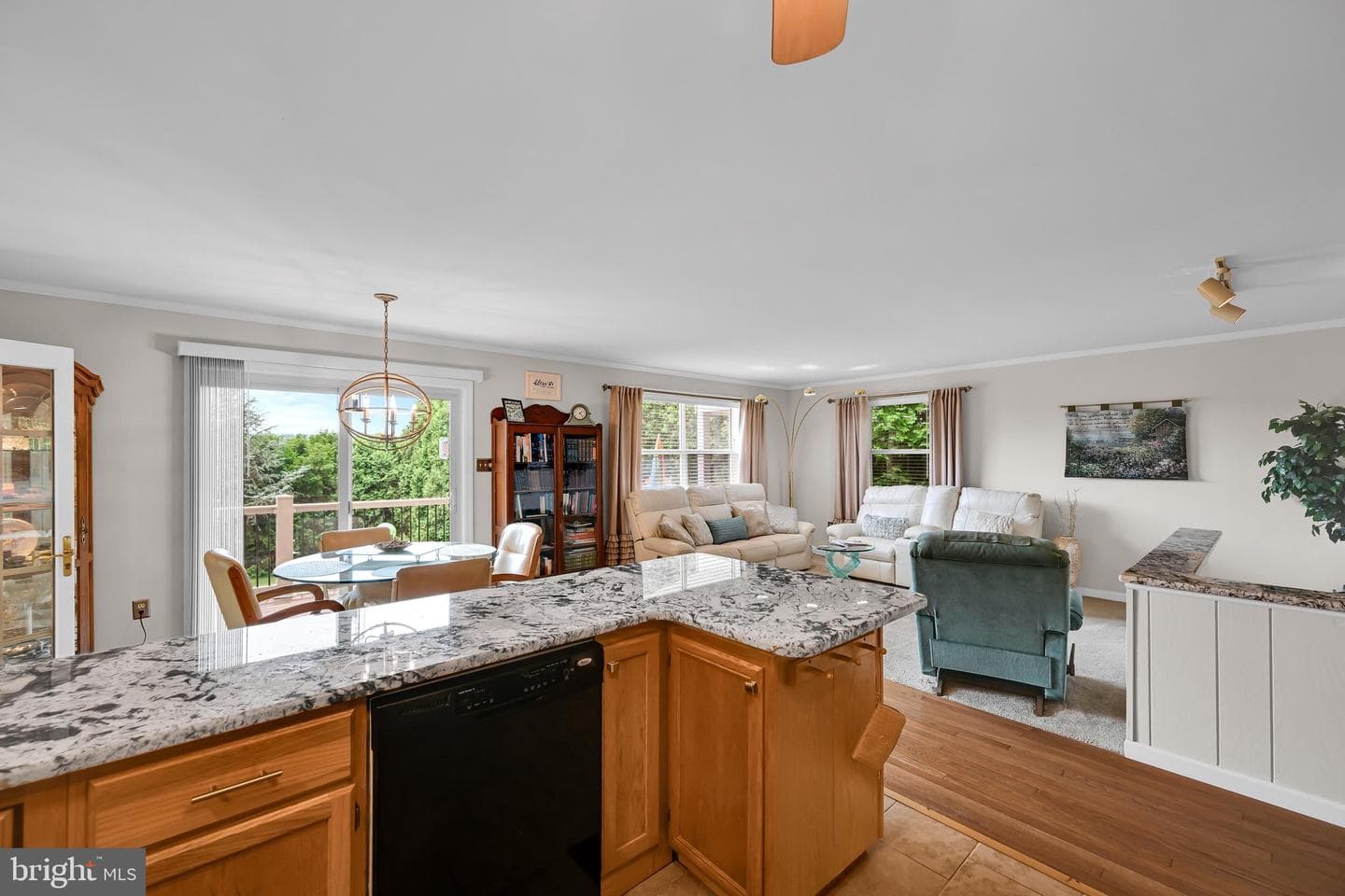 1138 Fawn Cove photo 3