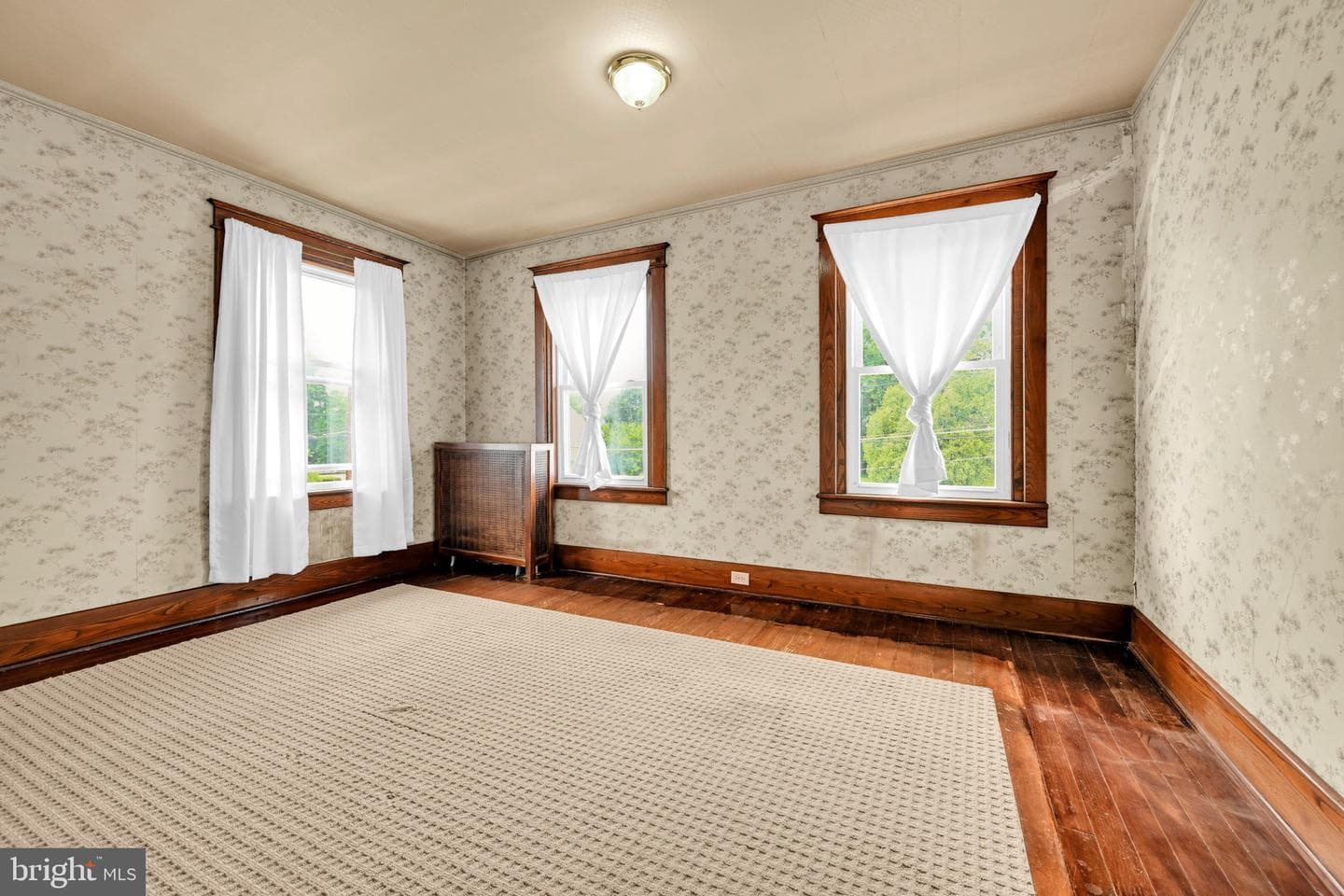 24 Paxson Avenue photo 16