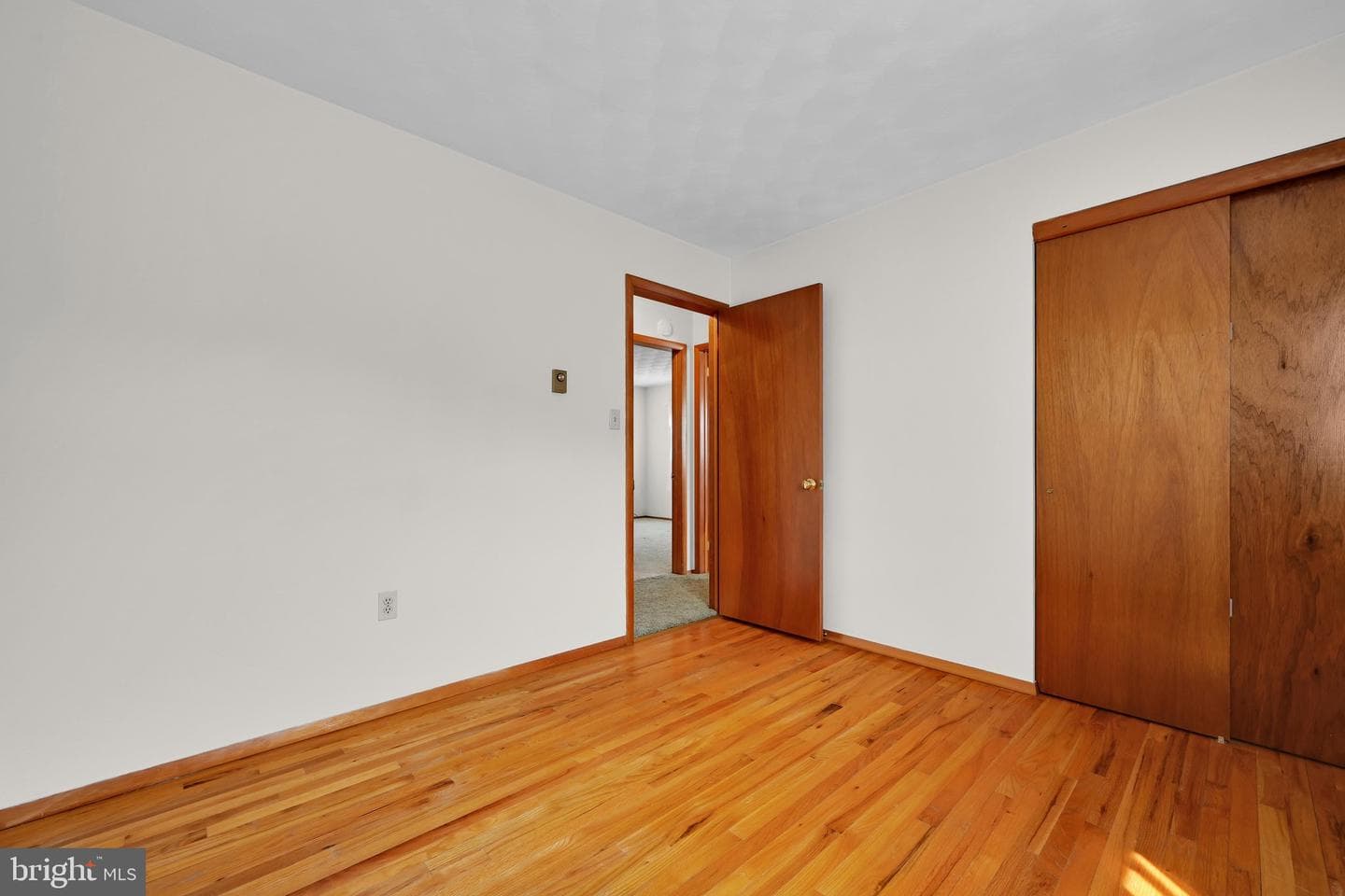 5 Elmer Avenue photo 15