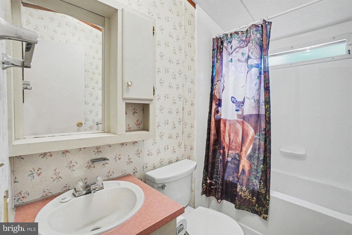 17 Albert Boulevard photo 19