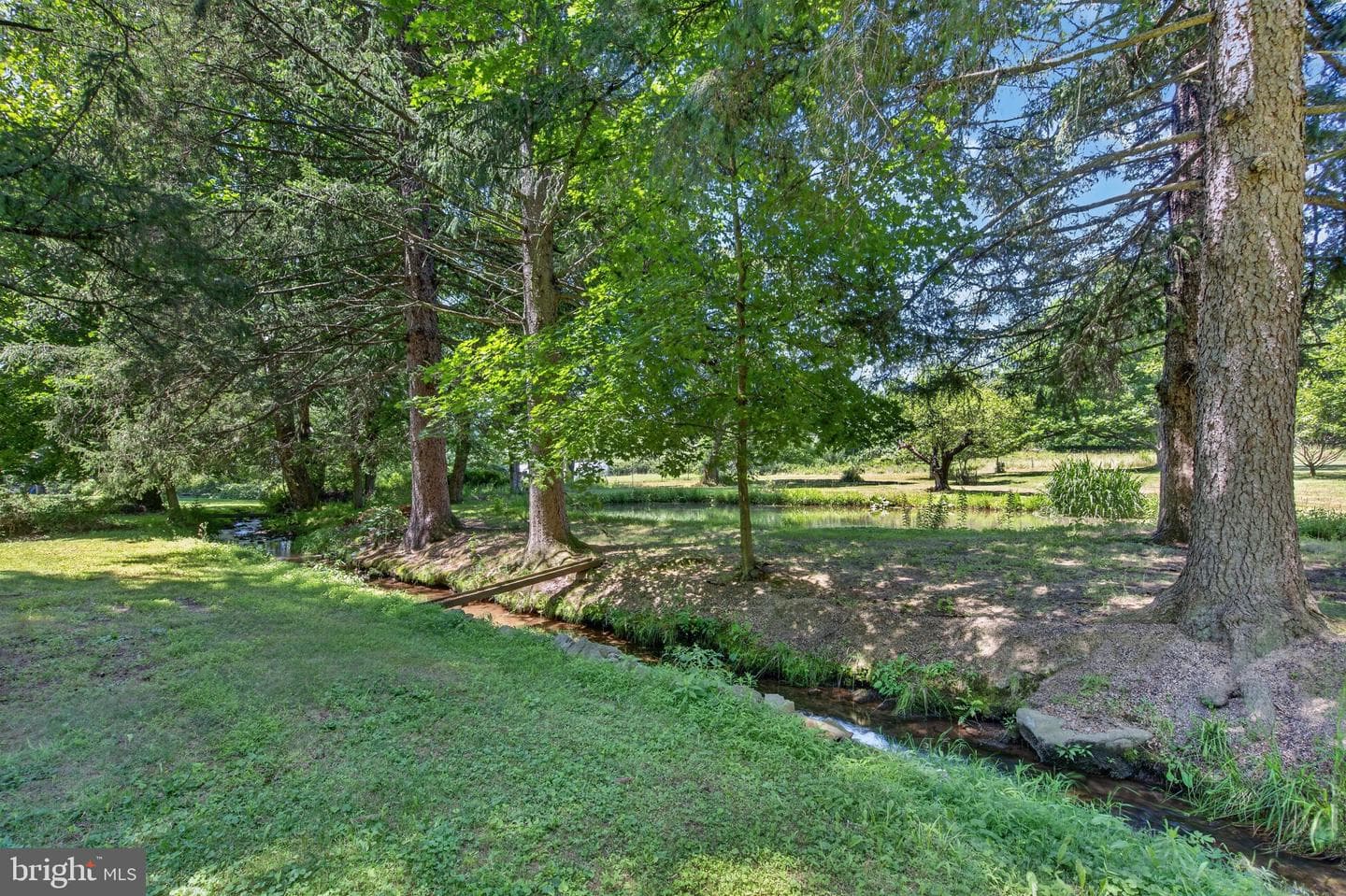 51 Reynolds Road photo 15