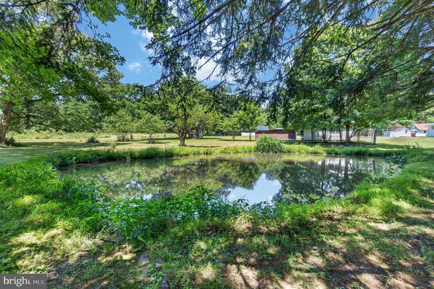 51 Reynolds Road photo 16