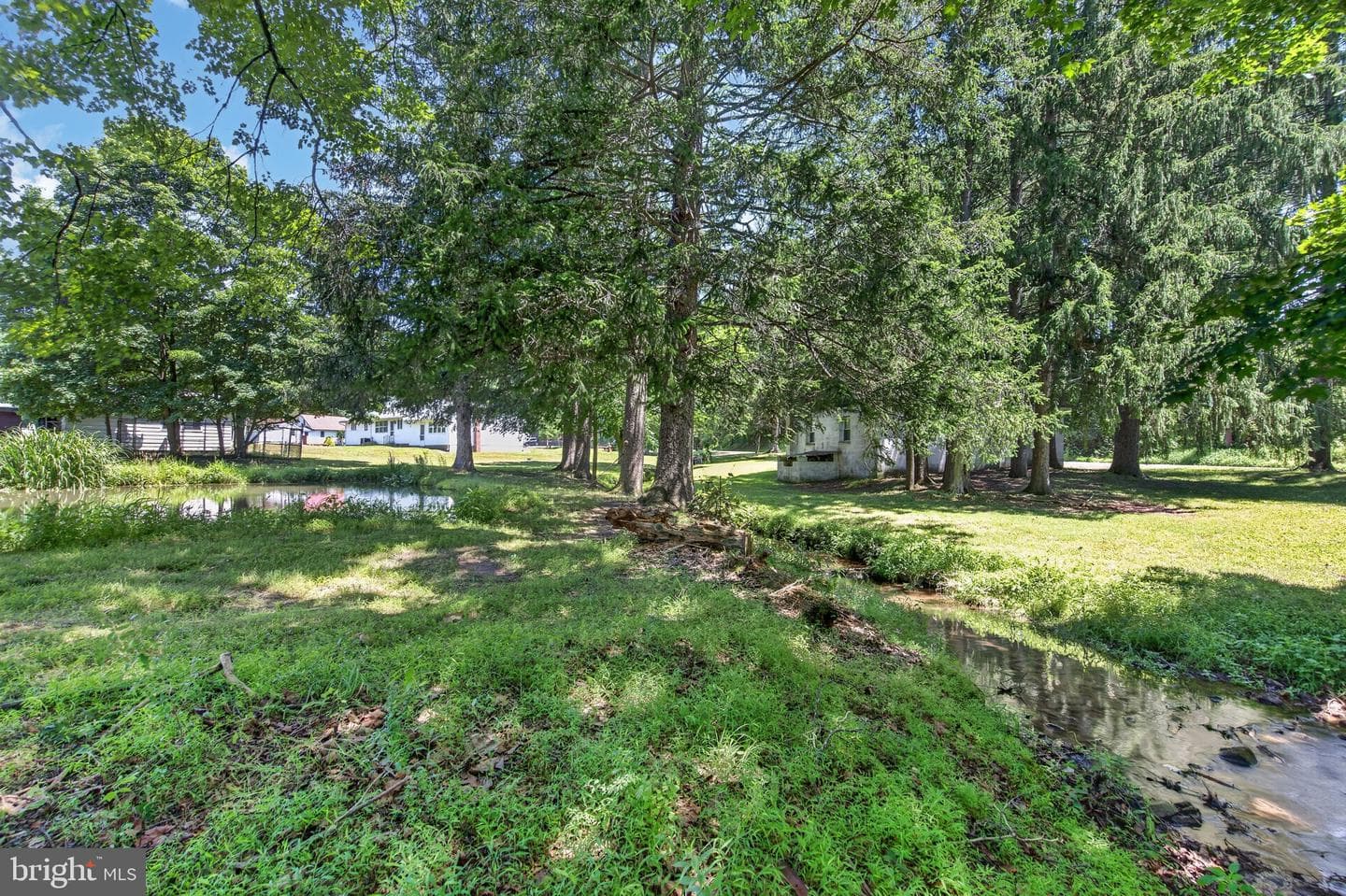 51 Reynolds Road photo 17
