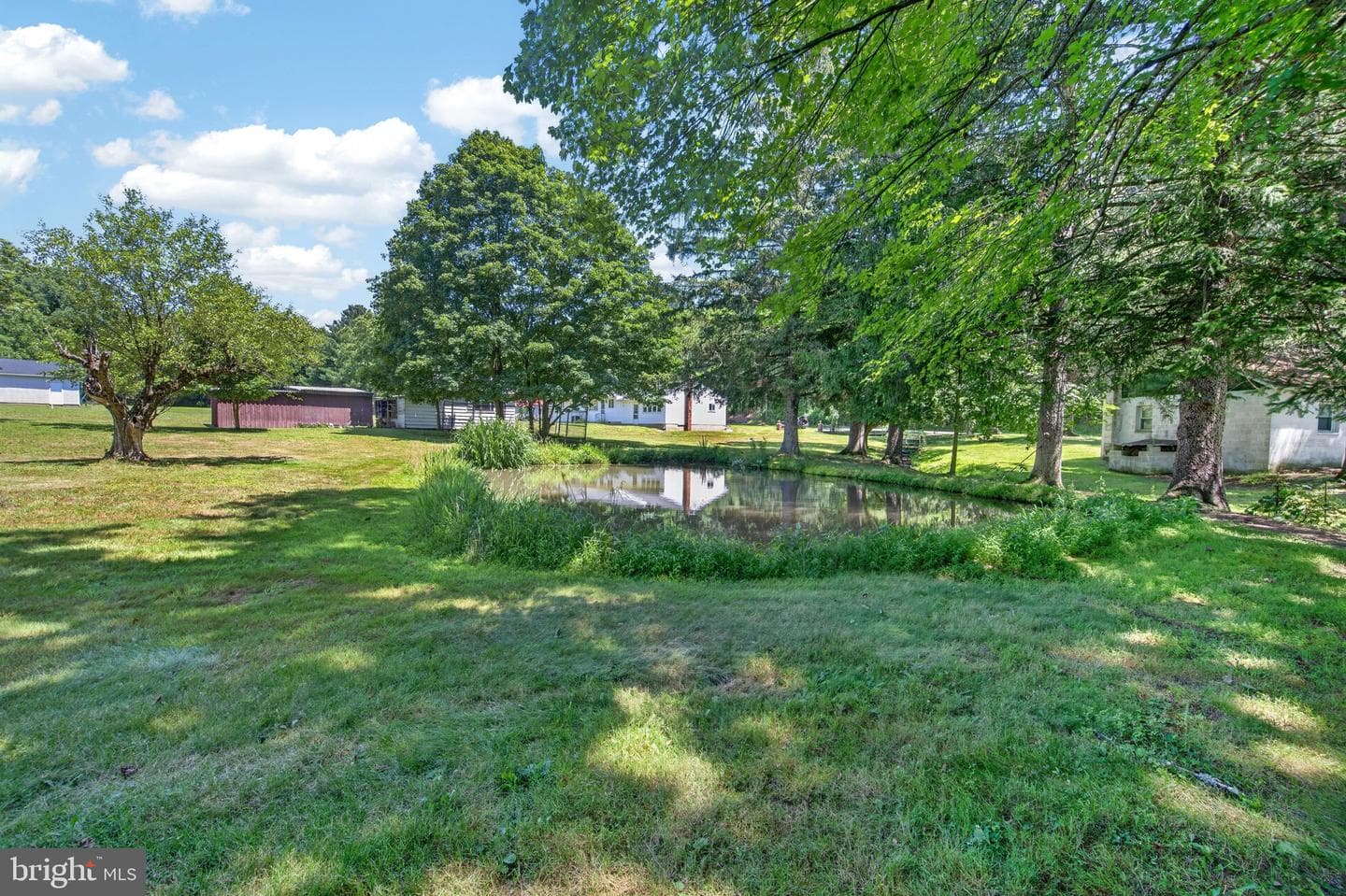 51 Reynolds Road photo 18