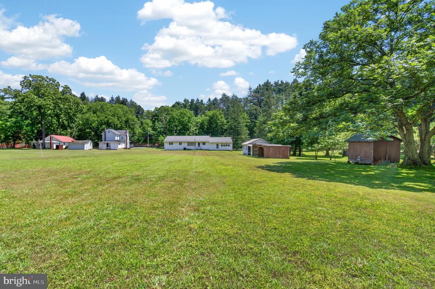 51 Reynolds Road photo 22