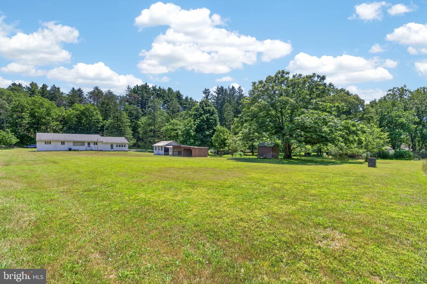 51 Reynolds Road photo 23