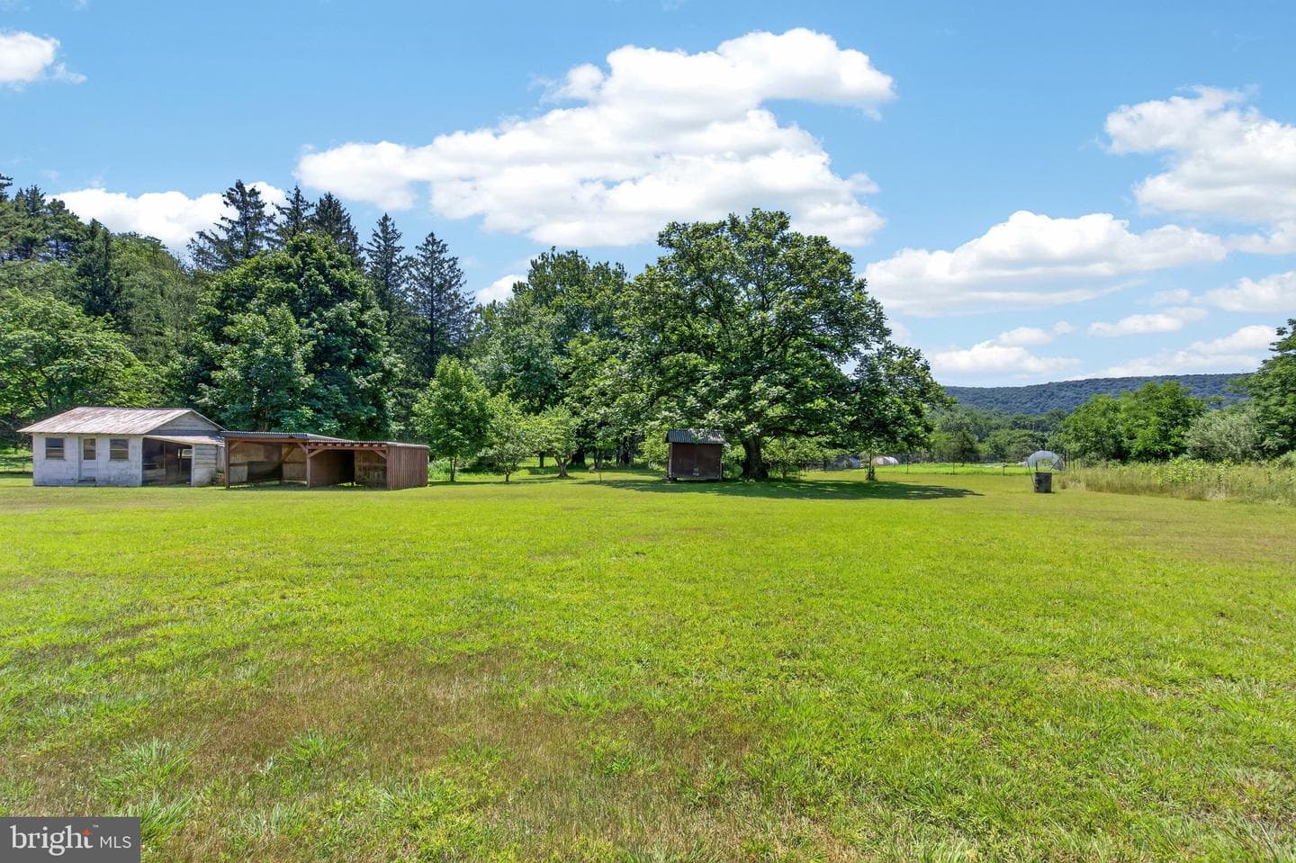 51 Reynolds Road photo 24