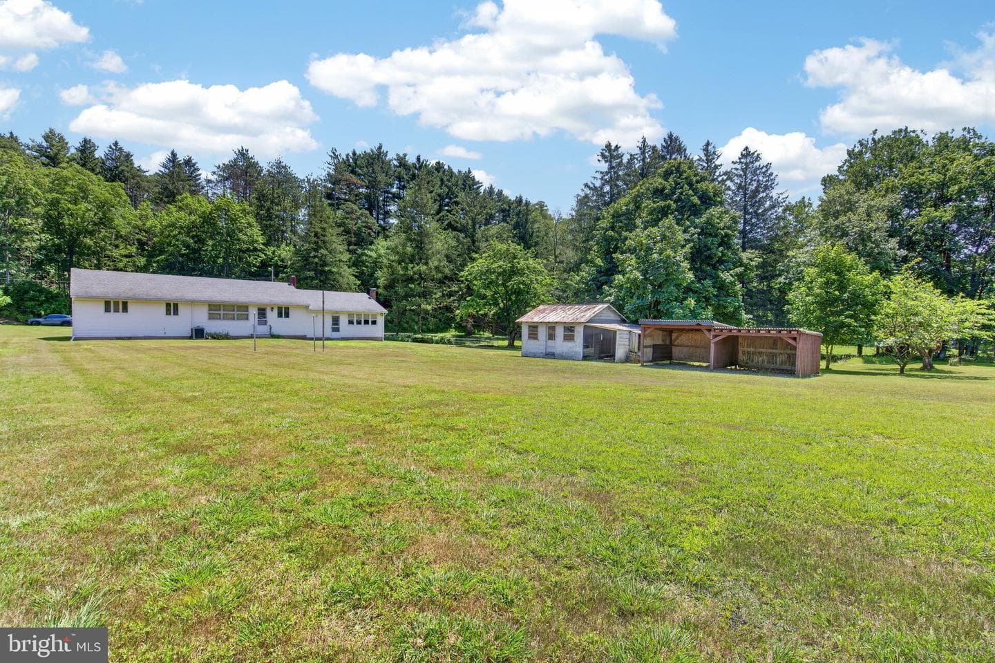 51 Reynolds Road photo 26