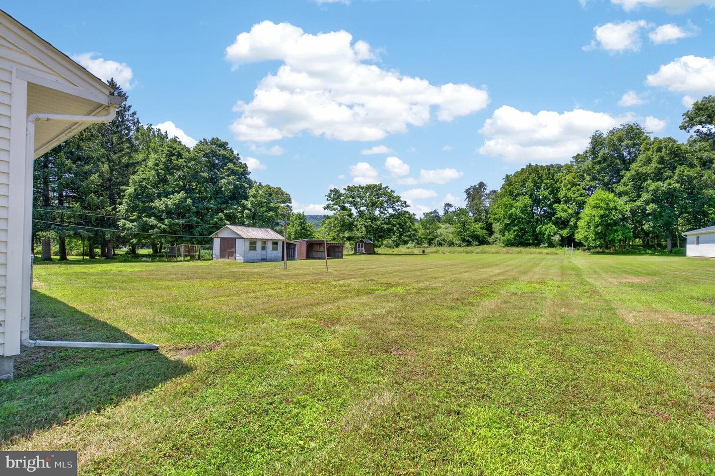 51 Reynolds Road photo 28