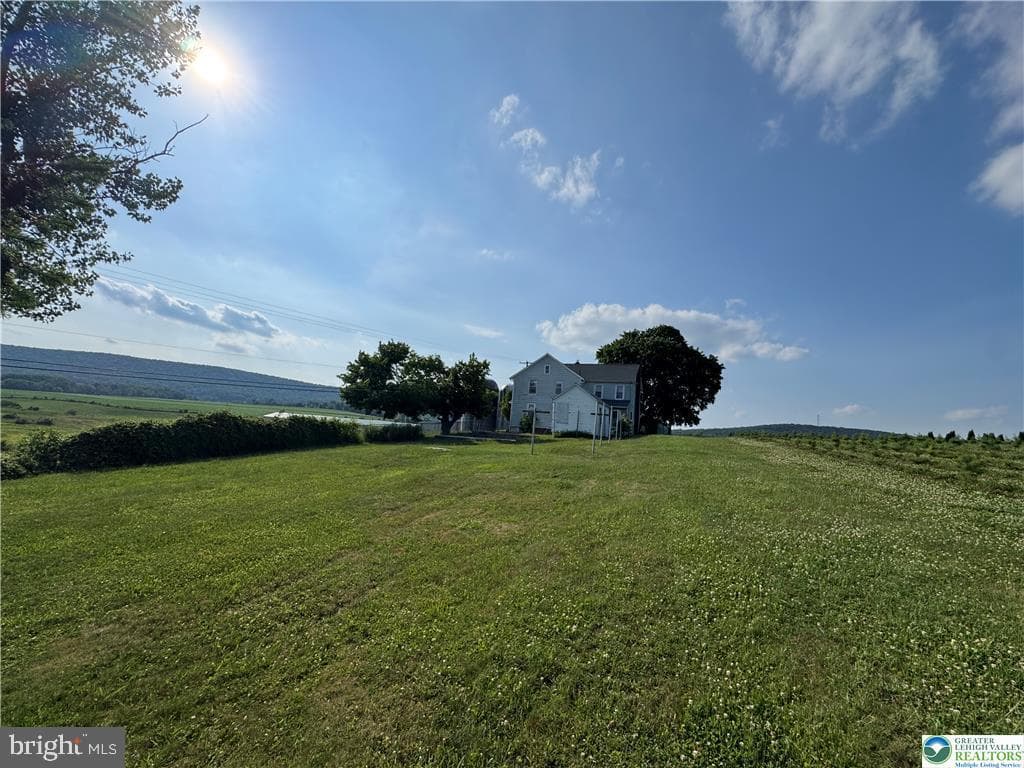868 Catawissa Road photo 8