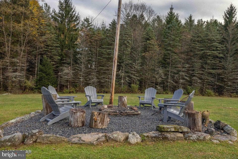 1382 Bear Mountain Rd photo 41