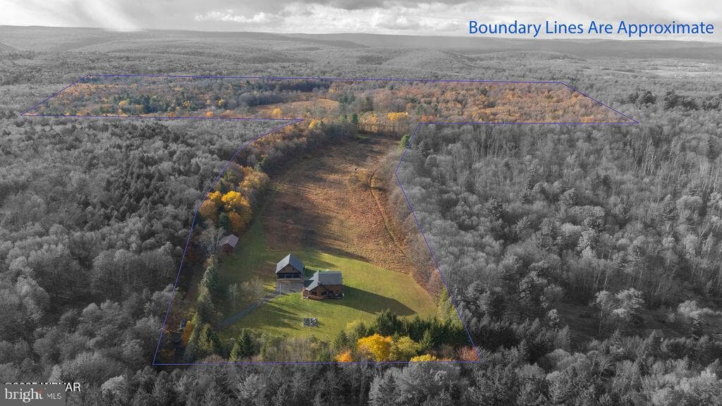 1382 Bear Mountain Rd photo 53