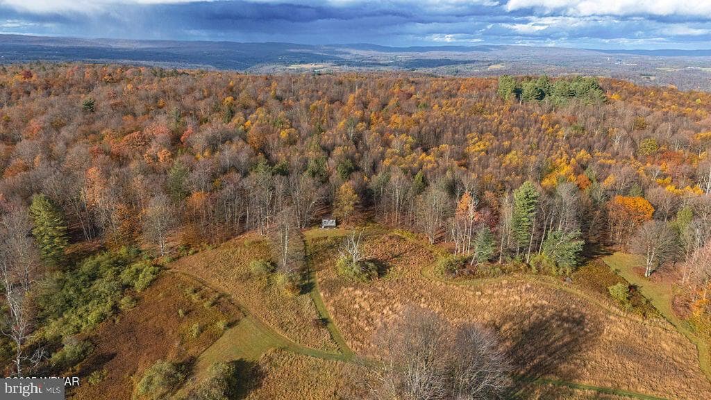 1382 Bear Mountain Rd photo 54