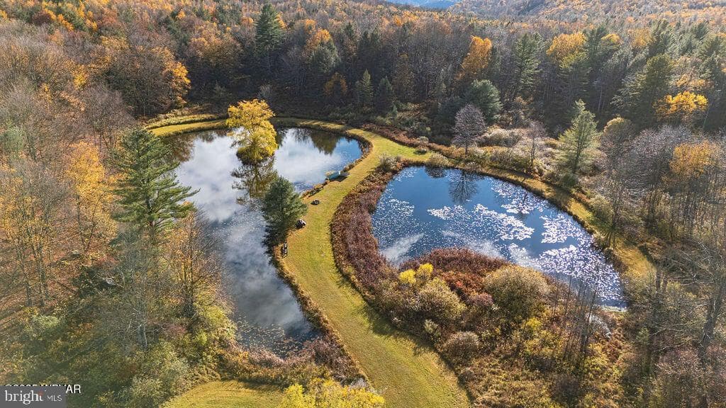 1382 Bear Mountain Rd photo 55