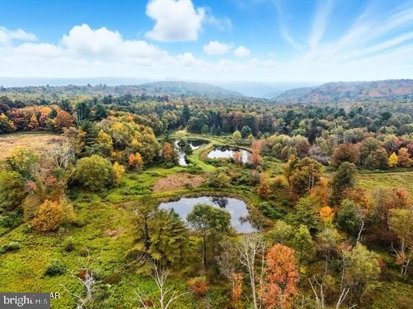 1382 Bear Mountain Rd photo 58