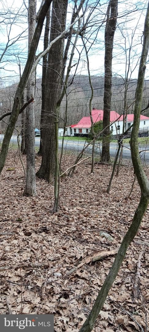 1243 Shaffer Mountain Road photo 10