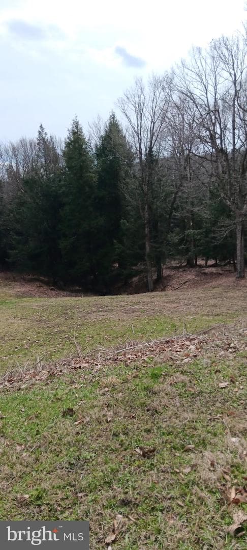 1243 Shaffer Mountain Road photo 12