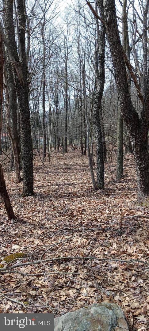 1243 Shaffer Mountain Road photo 15