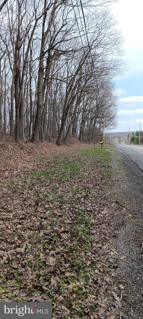 1243 Shaffer Mountain Road photo 17