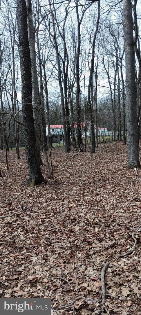 1243 Shaffer Mountain Road photo 20