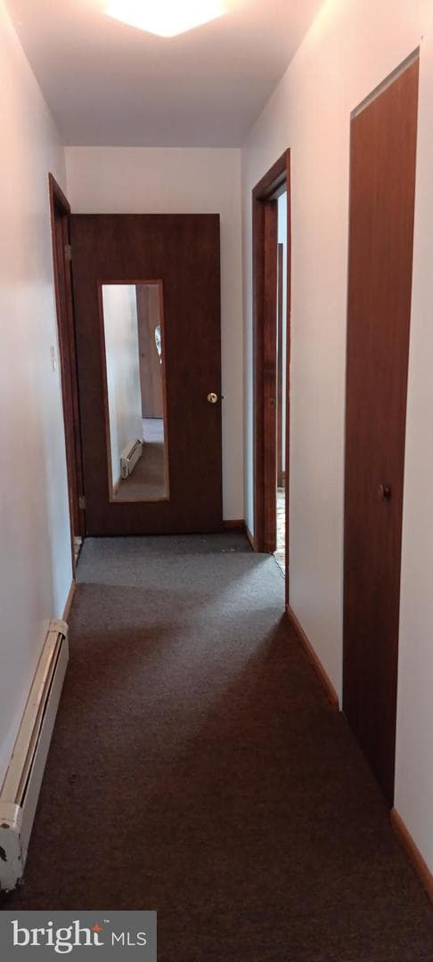1243 Shaffer Mountain Road photo 39