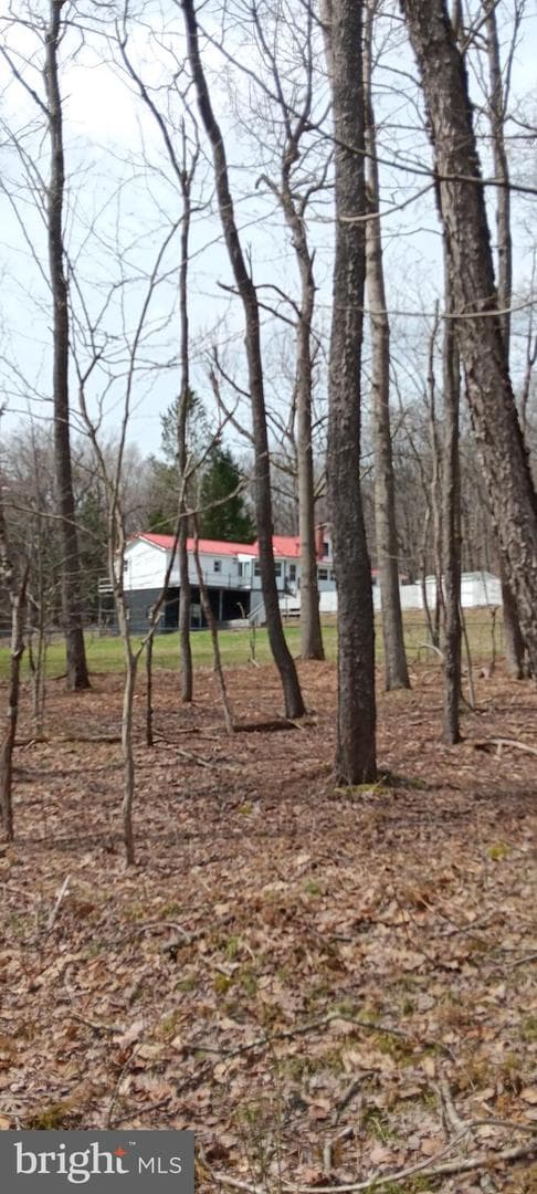 1243 Shaffer Mountain Road photo 4