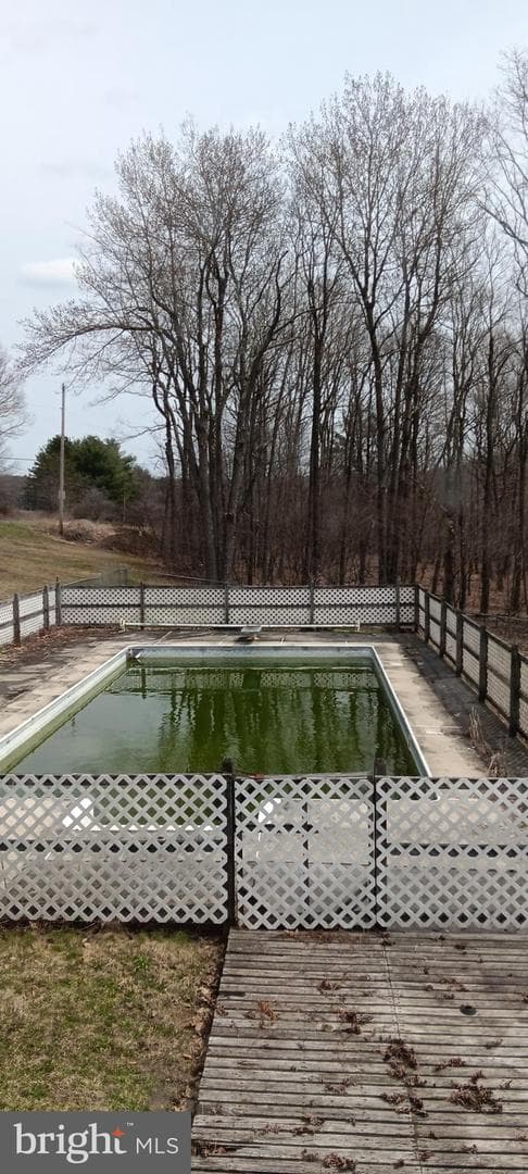 1243 Shaffer Mountain Road photo 53