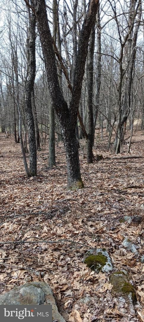 1243 Shaffer Mountain Road photo 56