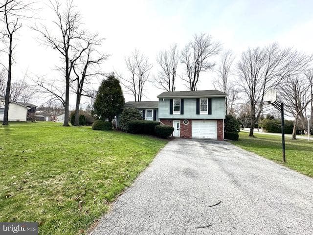 244 Kelly Drive photo 19
