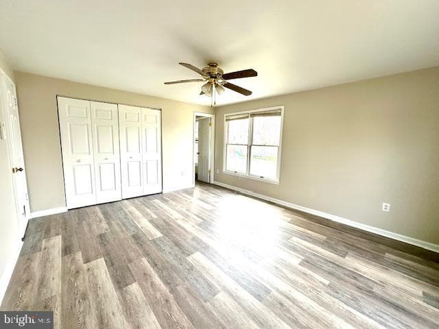 244 Kelly Drive photo 30