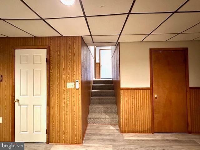 244 Kelly Drive photo 37