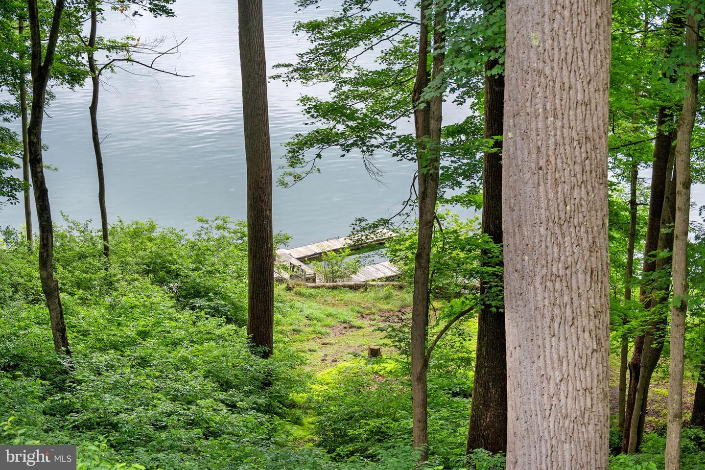 112 Scenic View Dr photo 35