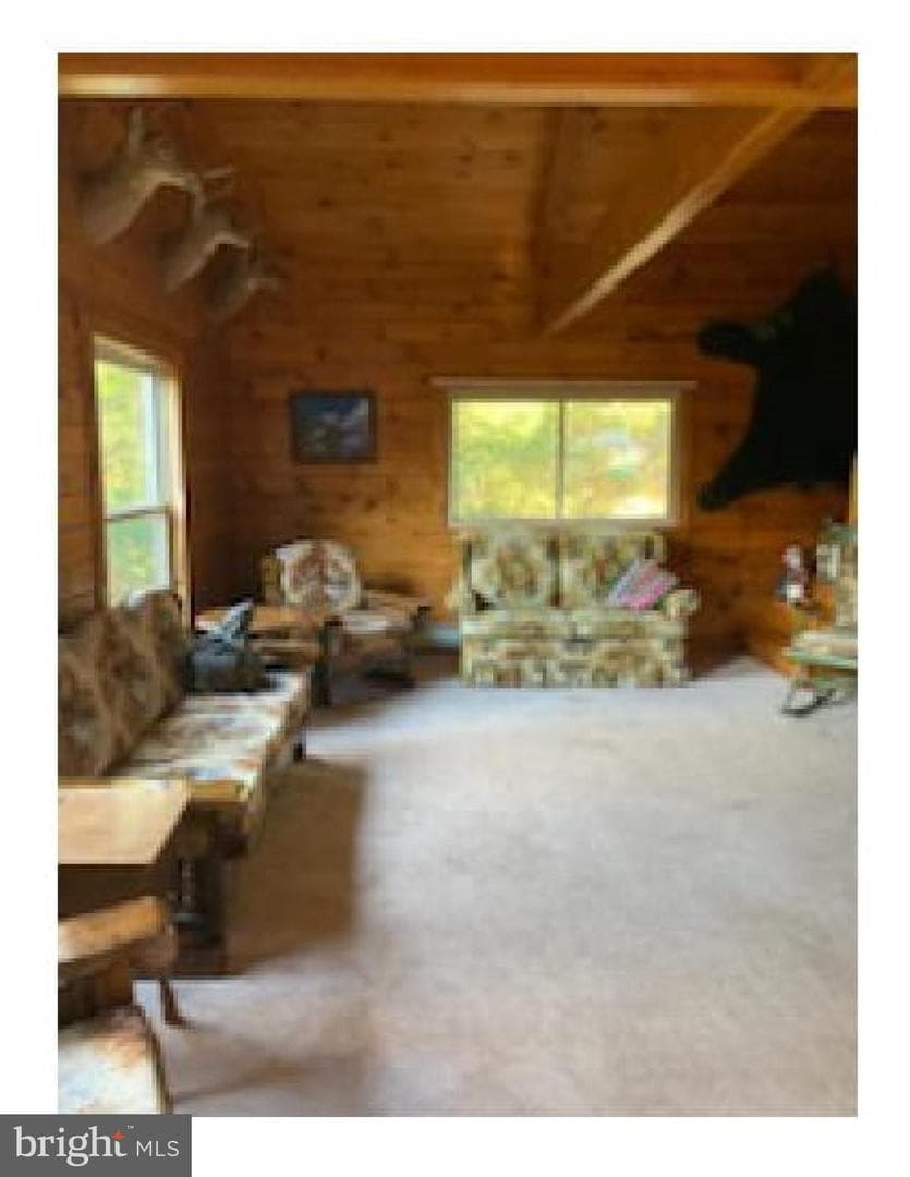 775 Pine Hollow Road photo 5