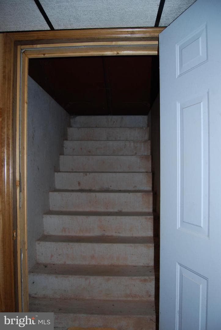569 Jackson Road photo 53