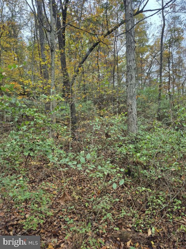 139 Rainbow Drive photo 48