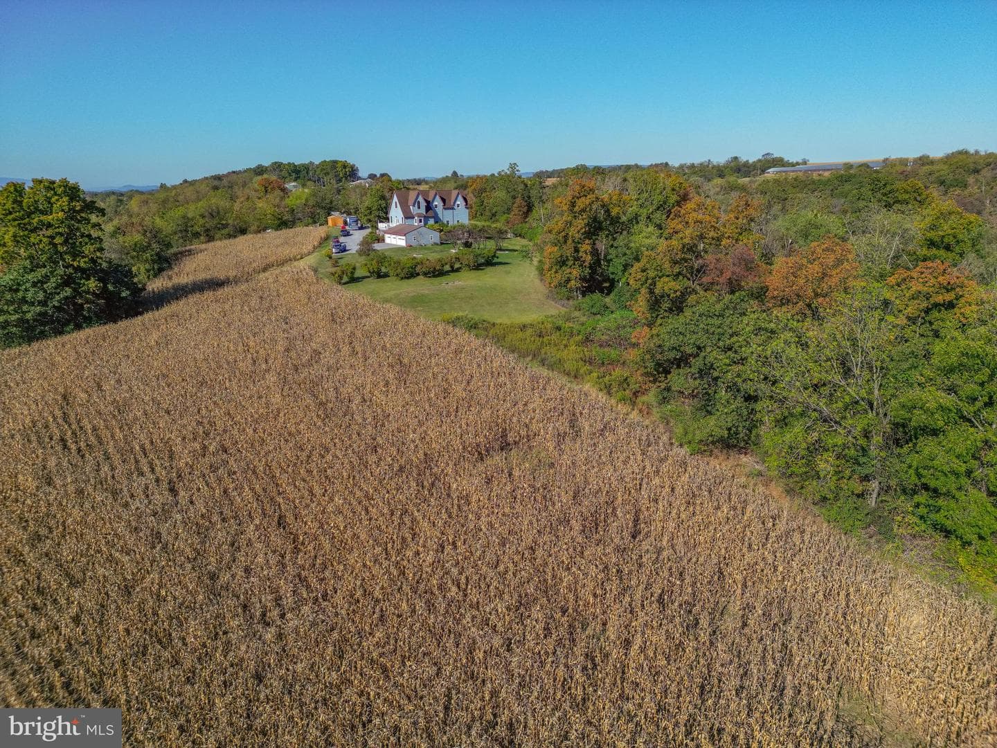 139 Rainbow Drive photo 5