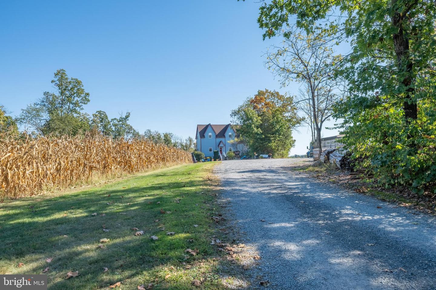 139 Rainbow Drive photo 9