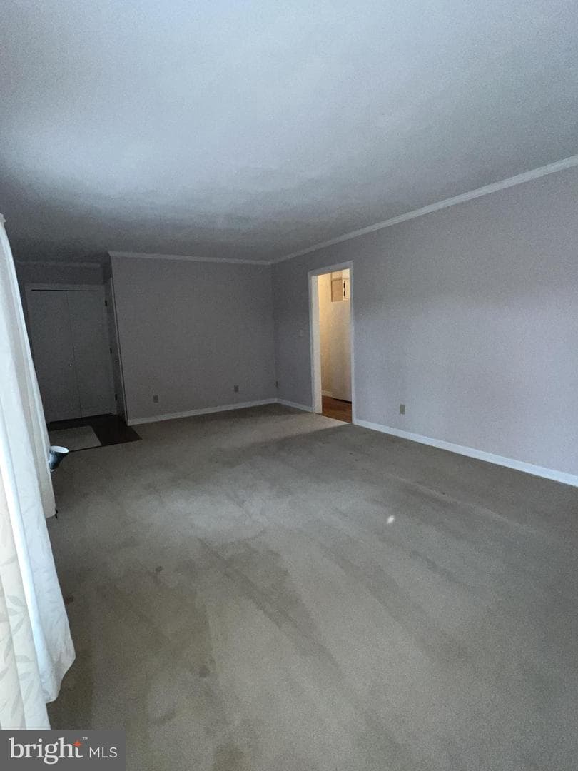 656 Snyder Avenue photo 13