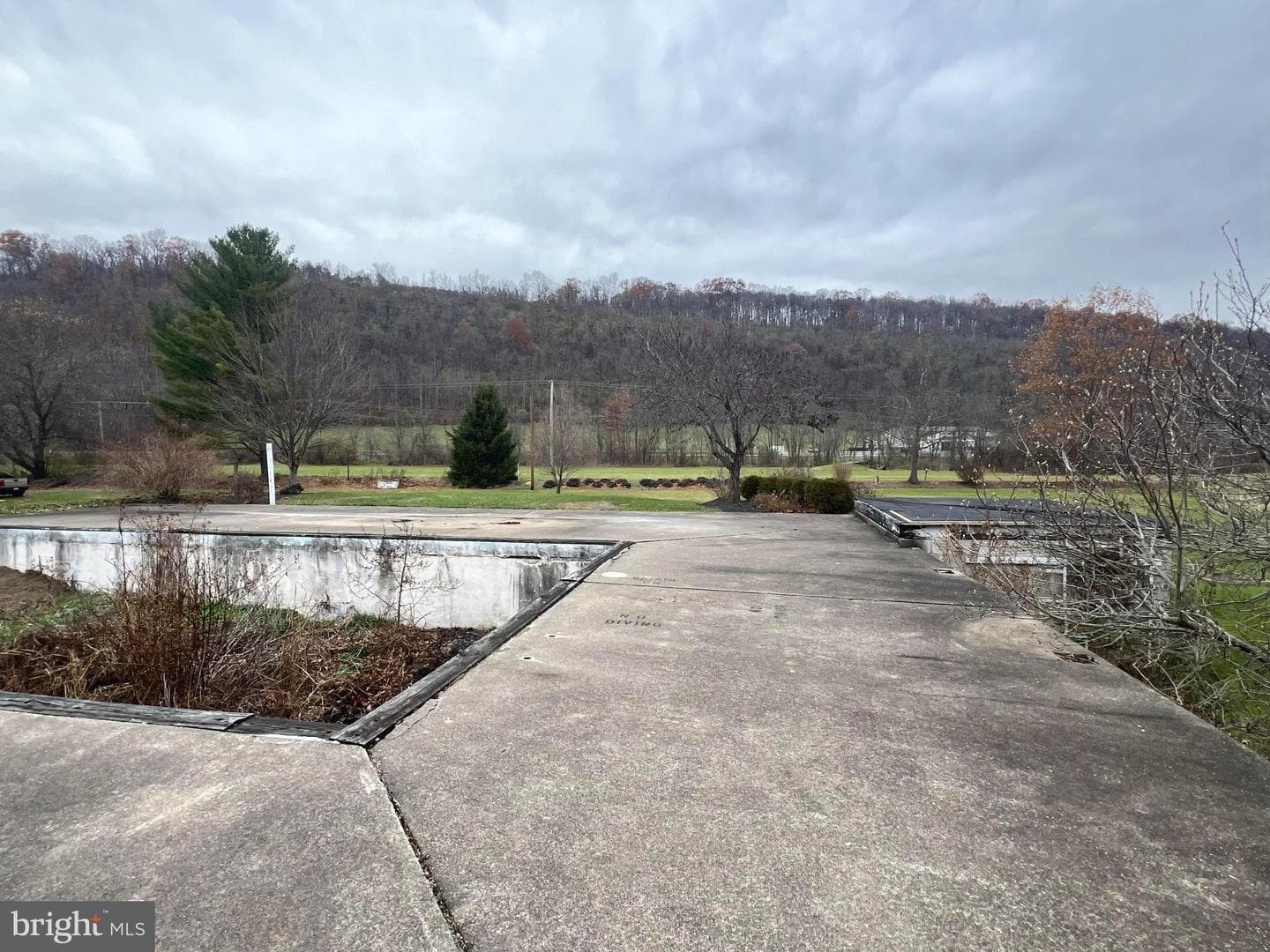 656 Snyder Avenue photo 36
