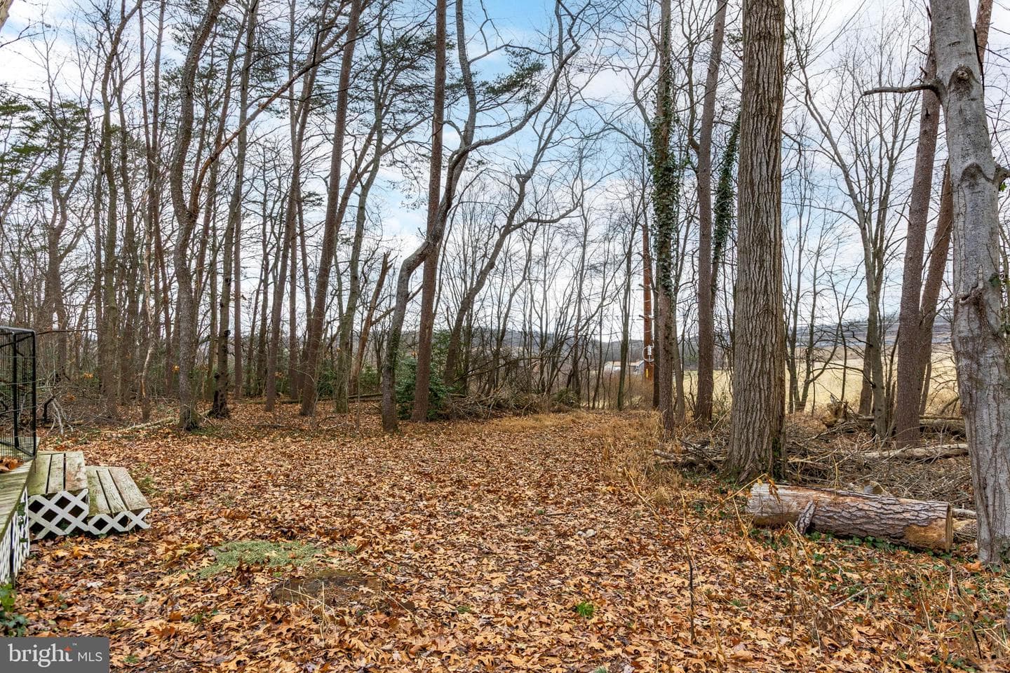 169 Pine Lane photo 4