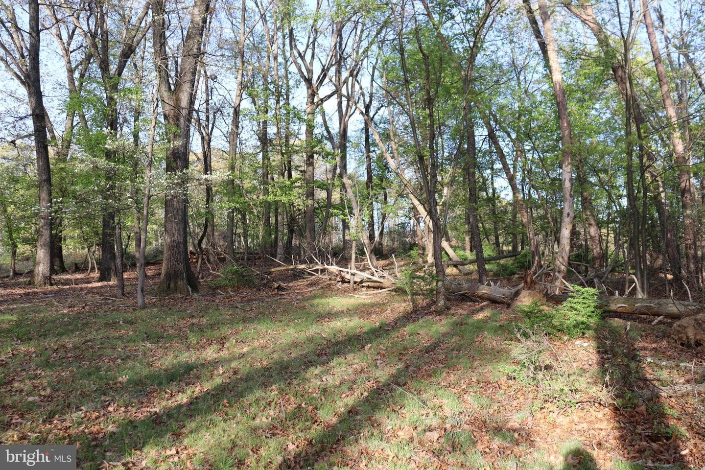 620 Stonebridge Drive photo 126
