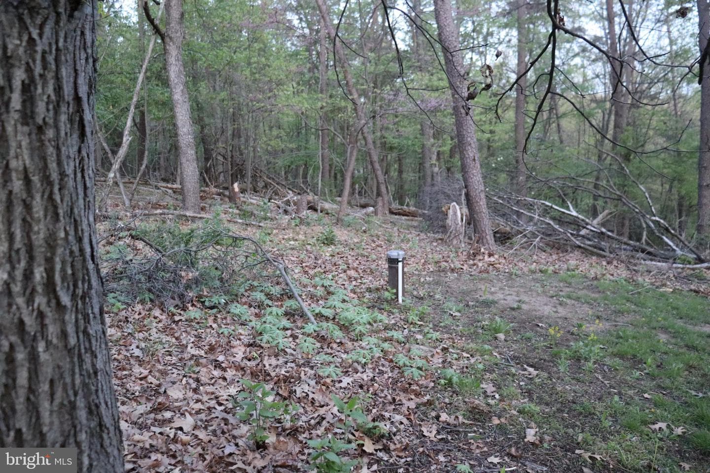 620 Stonebridge Drive photo 129