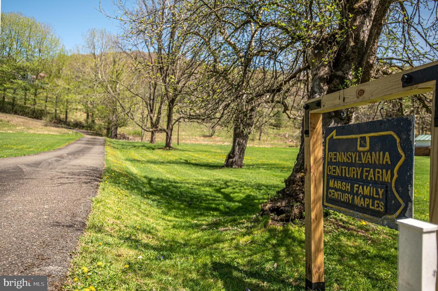 1518 Elk Run Road photo 101