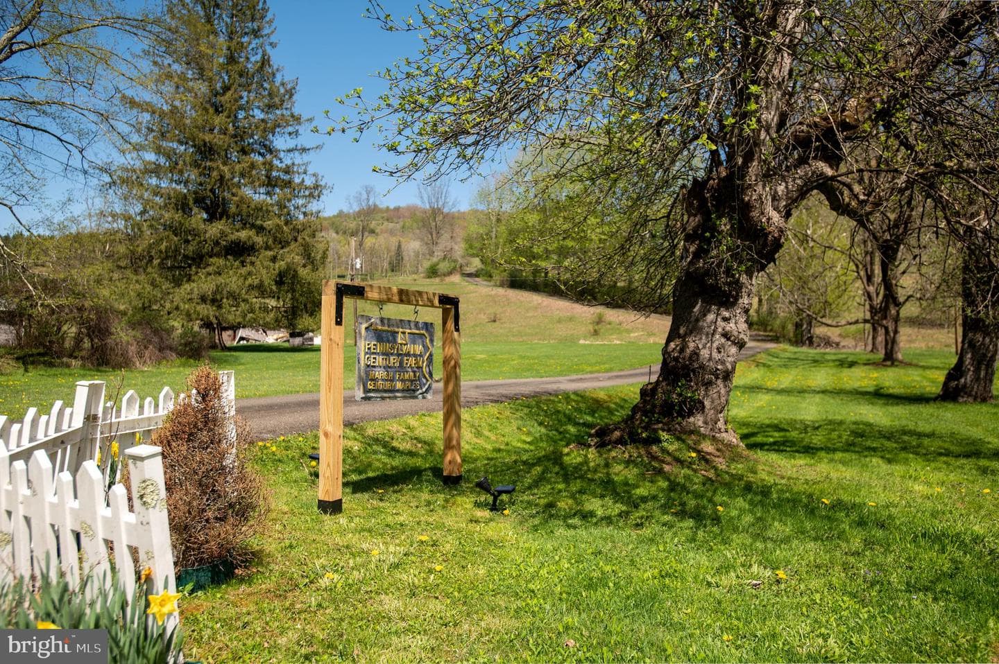 1518 Elk Run Road photo 99