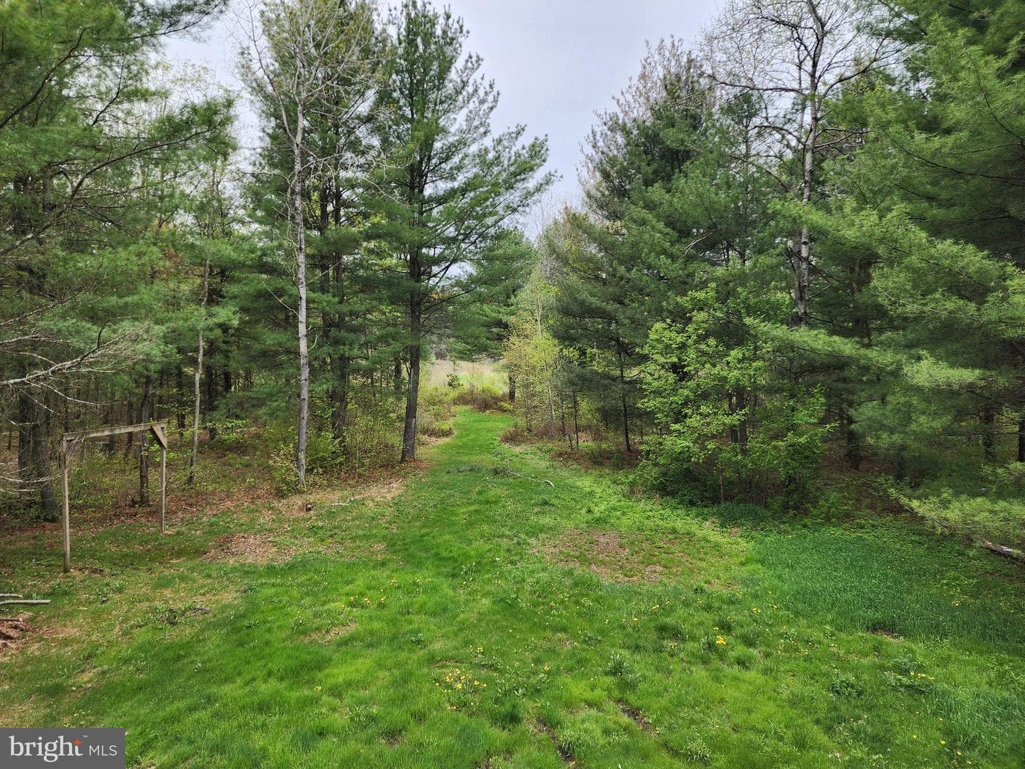 549 Blake Road photo 15