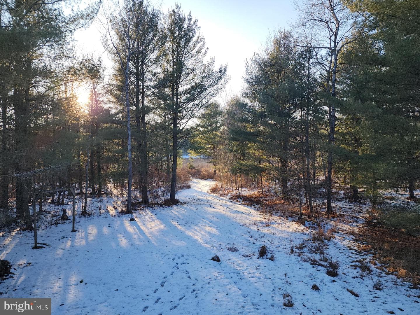 549 Blake Road photo 16