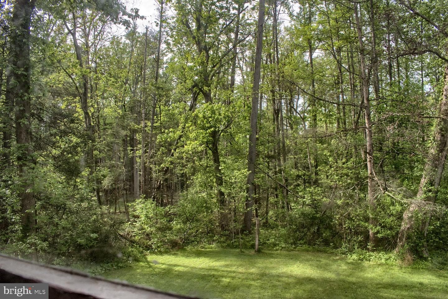 82 Wild Turkey Lane photo 21