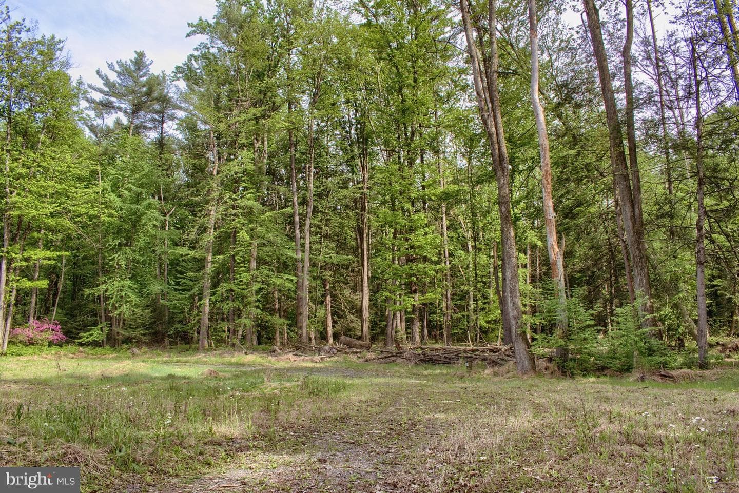 82 Wild Turkey Lane photo 22