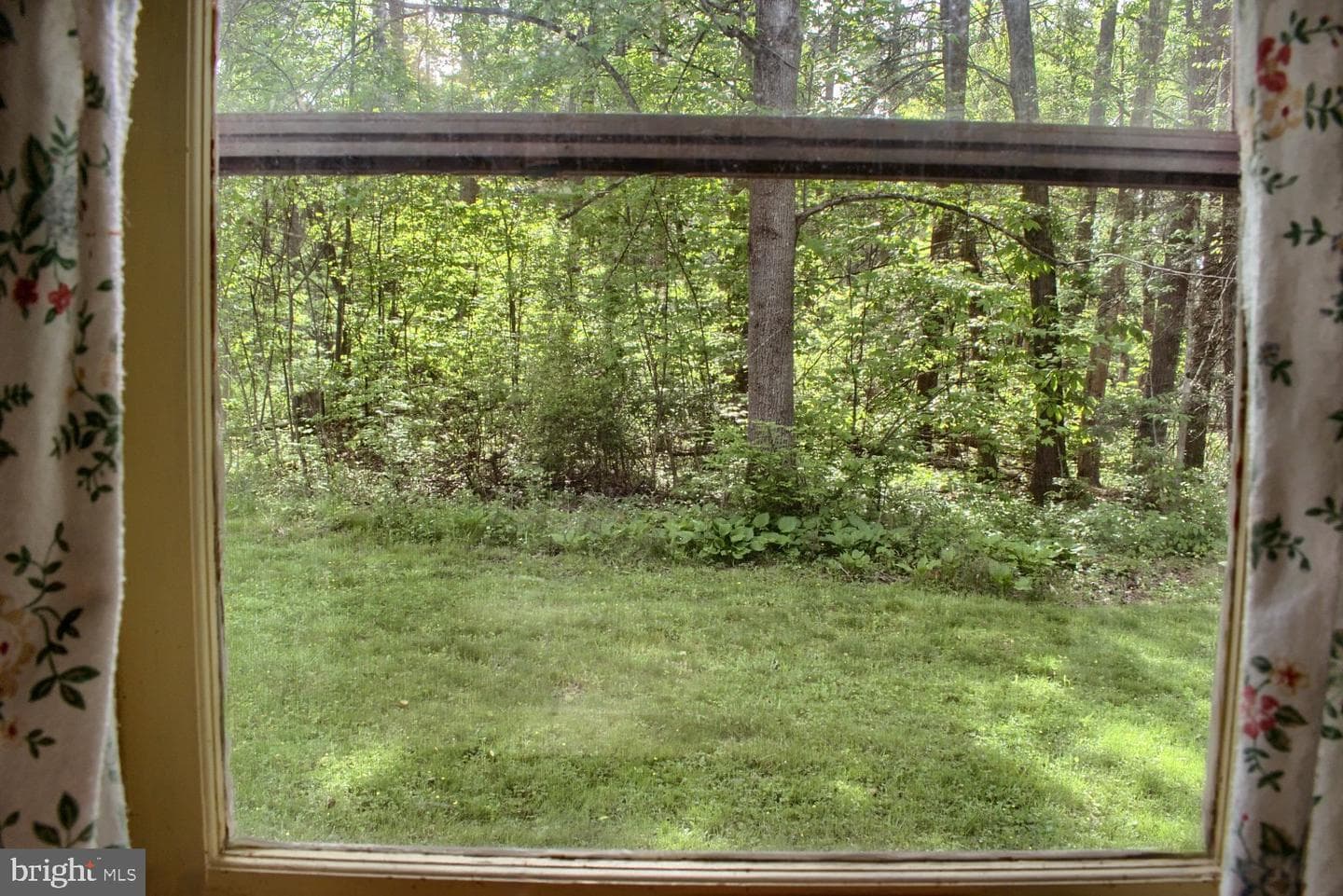 82 Wild Turkey Lane photo 9